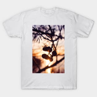 Winter sunset through the pine trees T-Shirt